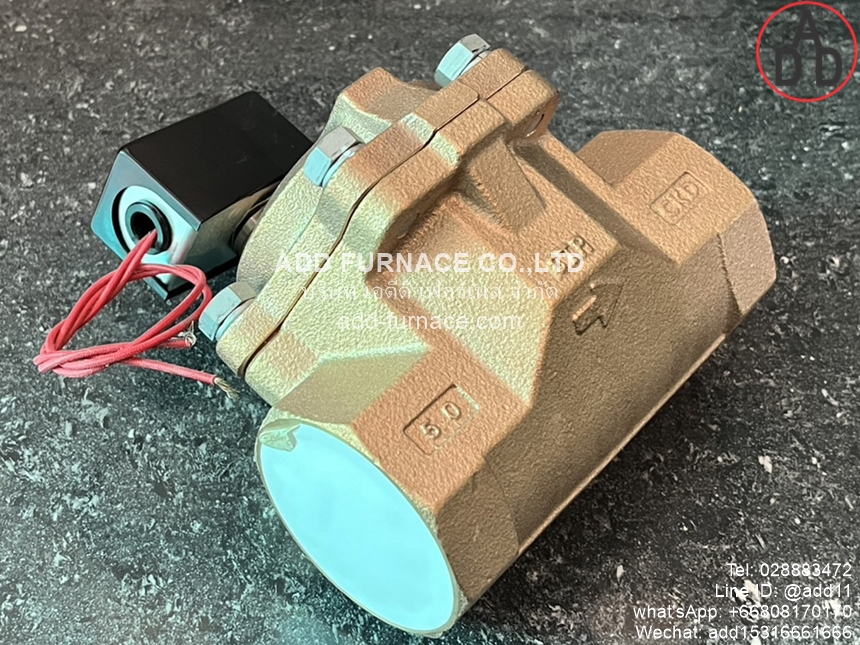 CKD AP21-50A-C4A-AC220V (7) 